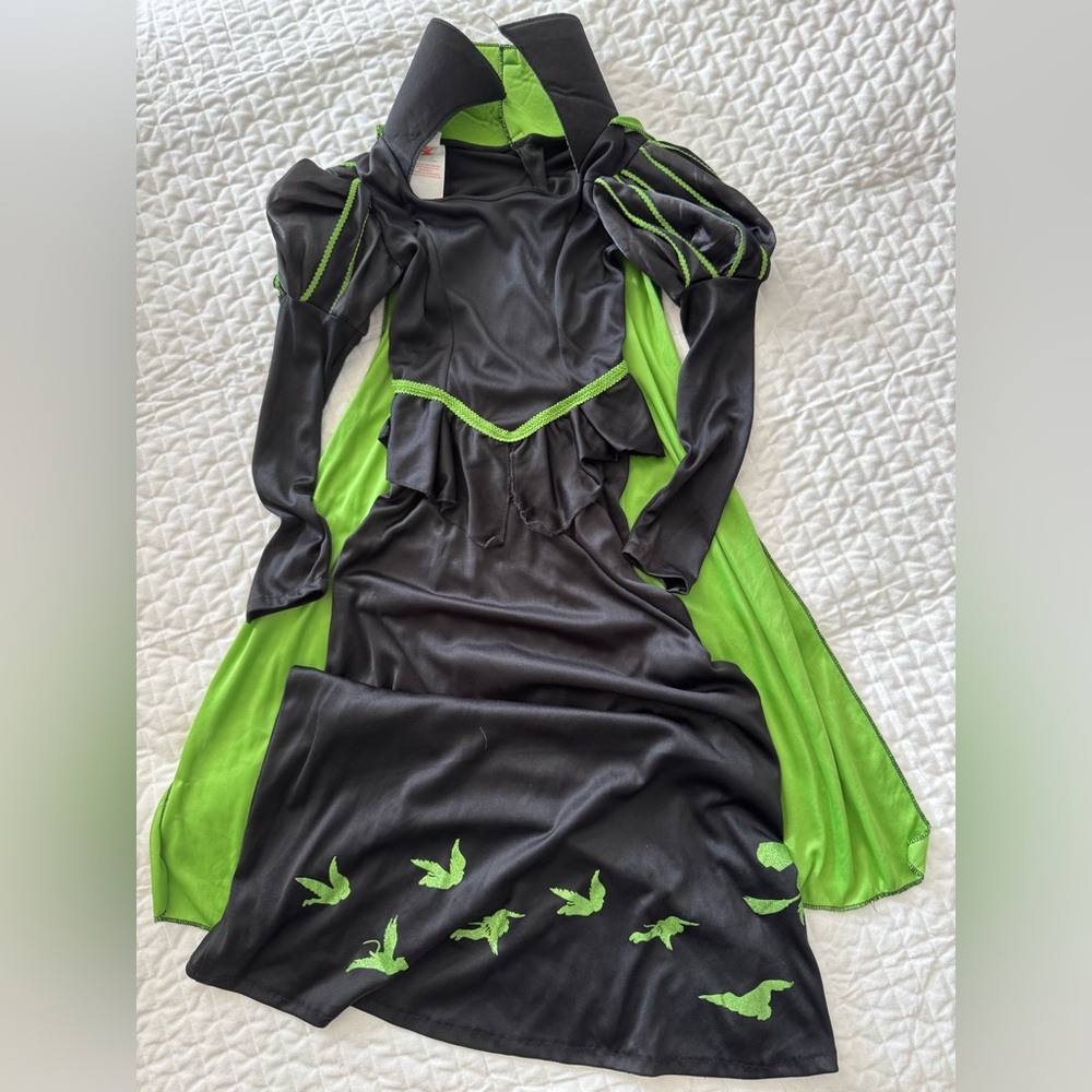 Girls Wicked witch Halloween dress